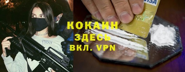 эйфоретик Няндома