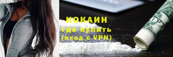 эйфоретик Няндома