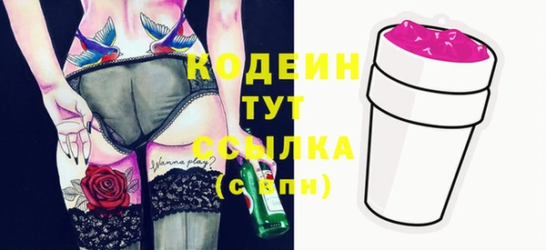 эйфоретик Няндома