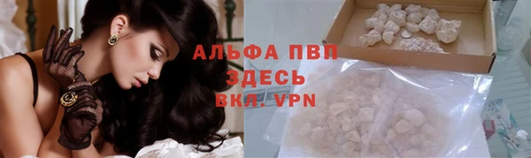СК Осташков