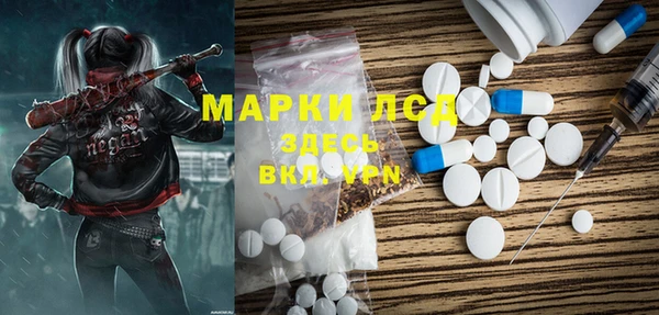 эйфоретик Няндома