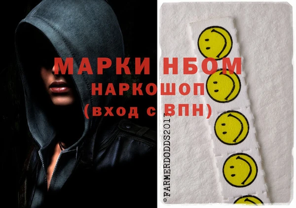 эйфоретик Няндома