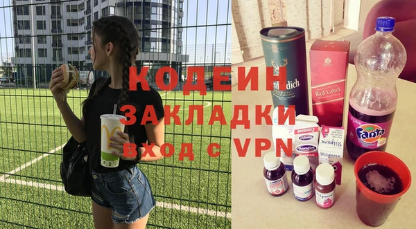 эйфоретик Няндома