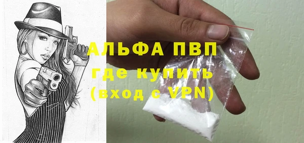 эйфоретик Няндома