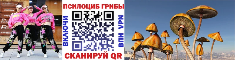 Галлюциногенные грибы Psilocybe Киренск